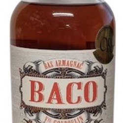 BACO 10 ANS BAS ARMAGNAC GOUDOULIN 70CL 42°