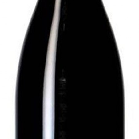 NUITS ST GEORGES GOUGES 2020 AOP  75 CL